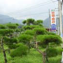 명산건강원 - 안성시 주래본죽로 30-9 | 명산건강원