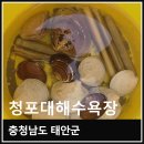 충청남도 태안군청 | 충남 태안 청포대해수욕장 갯벌체험 후기 조개잡기와 맛조개 잡는 방법 꿀팁