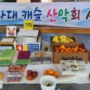 여수 낭도 ,추도, 사도,섬투어를 다녀와서 이미지