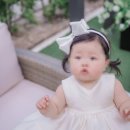평릉길 네이버블로그