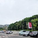 하나식자매마트서학점 | 남양주 식자재 마트 끝판왕 와 마트 평내점 주말 방문 솔직 후기 내 돈 내산[개아범개어멈]