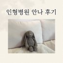 “ 인형병원 안나 ” 애착인형 수선 후기 🧸