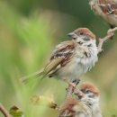 손지농장 이미지