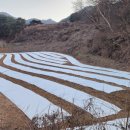 성곤농장 이미지