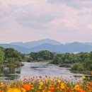 노원네거리 교통섬 이미지