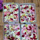 금마초등학교병설유치원 이미지