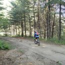 도사곡길 이미지