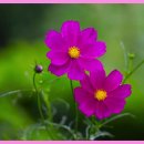 법정 스님의 교훈. 이미지