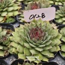 g0128 네이버블로그