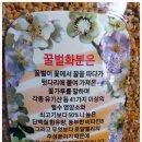 병순농장 이미지