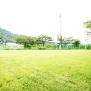 대구애견스쿨 이미지