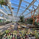 농협본점 이미지