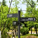 중앙공원 광장 이미지