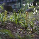 한란