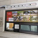 문경 철로자전거(진남역) 이미지