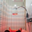 효담한의원 이미지