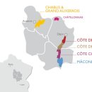 와인의 이해 이미지