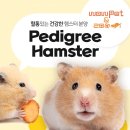 와우펫앤쥬 대구점 이미지