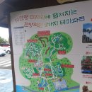 강남조류원 | 반려견 동반 제주 여행코스(애월,협재) : 한림공원, 몽상드애월, 잇칸시타