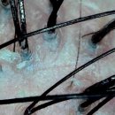 두피 고민으로 방문한 양산 두피케어&amp;피부관리샵 ‘올가드림뷰티’ 솔직 후기