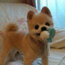 제일 그루밍샵 이미지