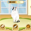 고양이다방 이미지