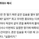 이런거 1차 BL 감성인가? 이미지