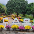 완도수목원 이미지