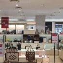 여성토탈패션 이미지