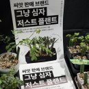 플랜트월드마켓 그냥심자 식쇼 혜자로운 이벤트 후기