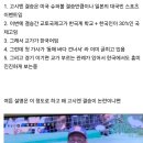 교토국제고 야구부 감독 논란 ㄷㄷ 이미지