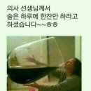 오잉