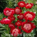 날마다 봄 이미지