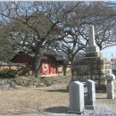 해남읍 단군전 이미지