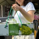 봄바스 민박 이미지