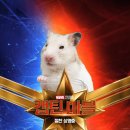 `Netizen 신비 동물의 왕국` 2019. 3. 17(일요특집) 이미지