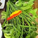 【평생학습 주간행사 연계】 나를 찾아 떠나는 향기 여행(아로마테라피) | 체류형 농막 쉼터 &amp; 한옥체험 사업 (87)