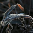 새벽목장 이미지