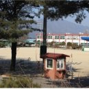 화대리경로당 Daum카페