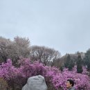 아영 할비랑 이미지