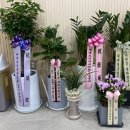 새로이한의원 이미지