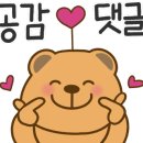 홍가뽈찜 이미지