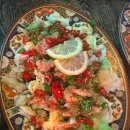 주주애견 이미지