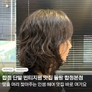 조석헤어 | 합정역 미용실 올랑 합정 생애 첫 단발 빈티지펌 성공했서요