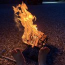 힐링캠프캠핑장 | 포천 뉴힐링캠프 오토캠핑장 후기 D구역 7번 , 코베아 네스트w 탄 피칭 후기