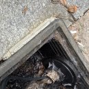 평창상휴게소 이미지