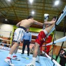 용인대 복싱클럽 이미지