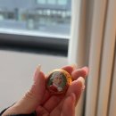 H 호텔 | 오스트리아 잘츠부르크 - 가성비 숙소 H+호텔 비용 및 후기