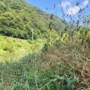 청도천7 이미지