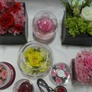 (주)그린주의 이미지